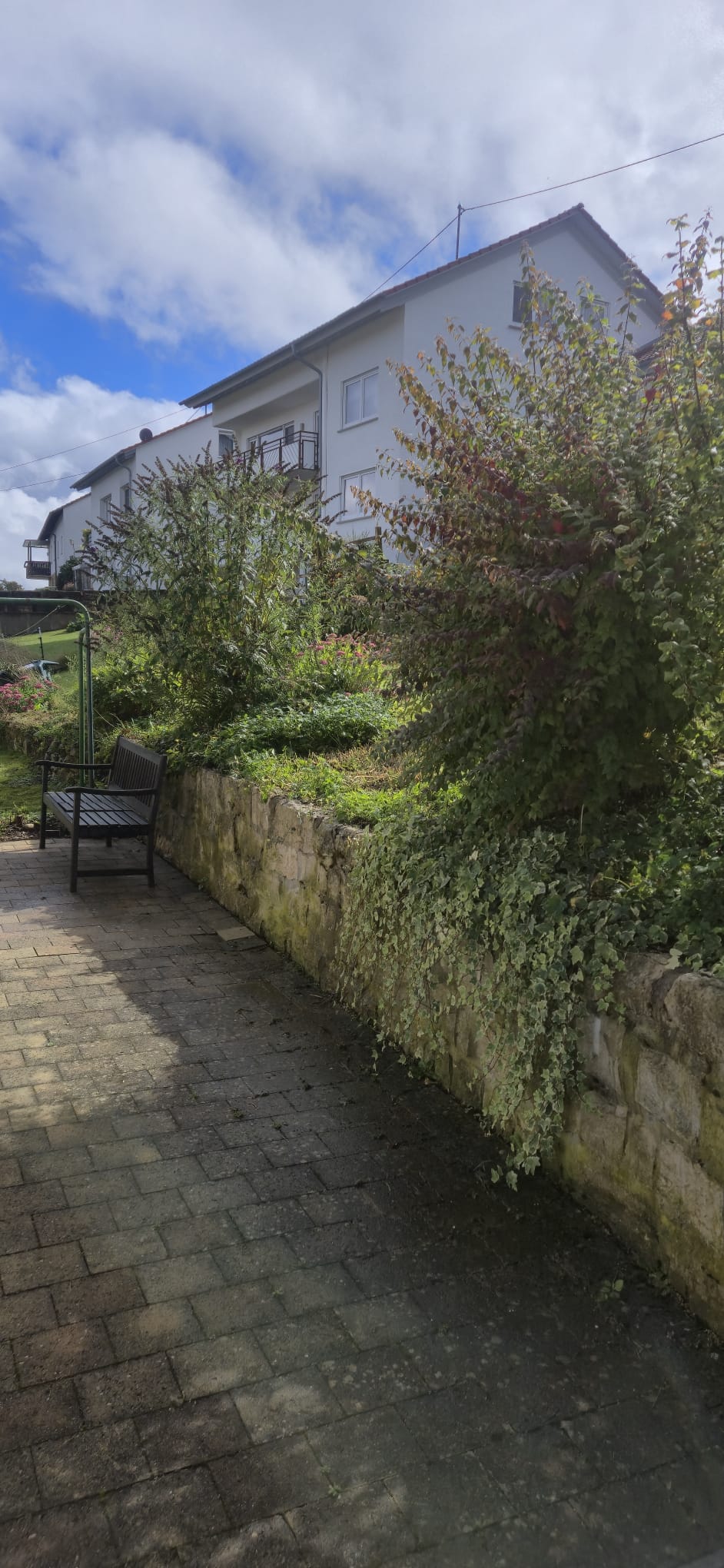 Garden photo 5